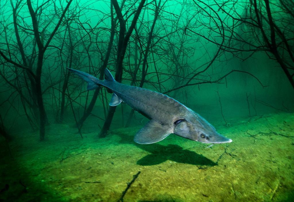 "Altes Stellwerk Frose" Am Froser See Zewnętrze zdjęcie